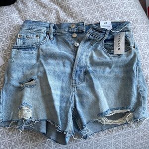 Never work pac sun shorts